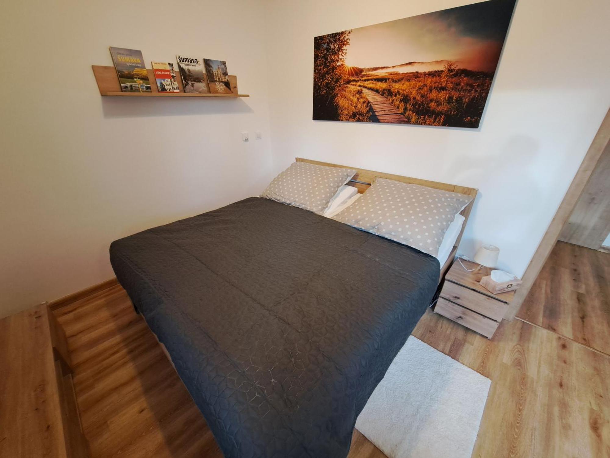 Apartmany - Male Lipno Černá v Pošumaví Zimmer foto